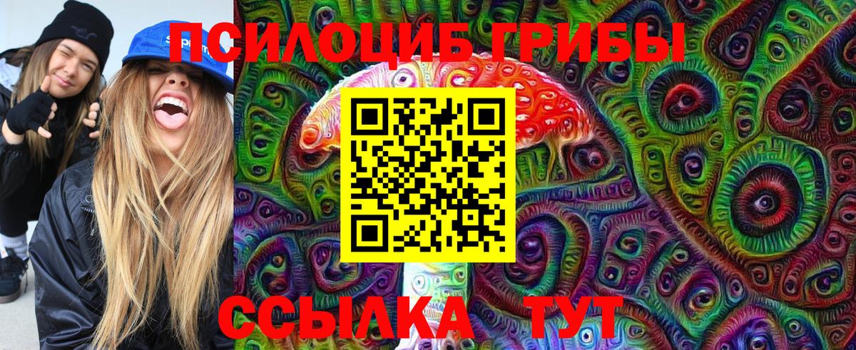 Галлюциногенные грибы Cubensis  Вход с VPN  Калач-на-Дону 